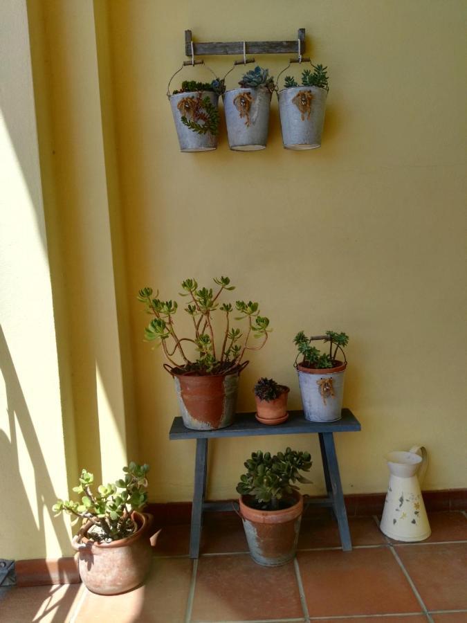 B&B Casa Piras Iun3880 巴鲁米尼 外观 照片