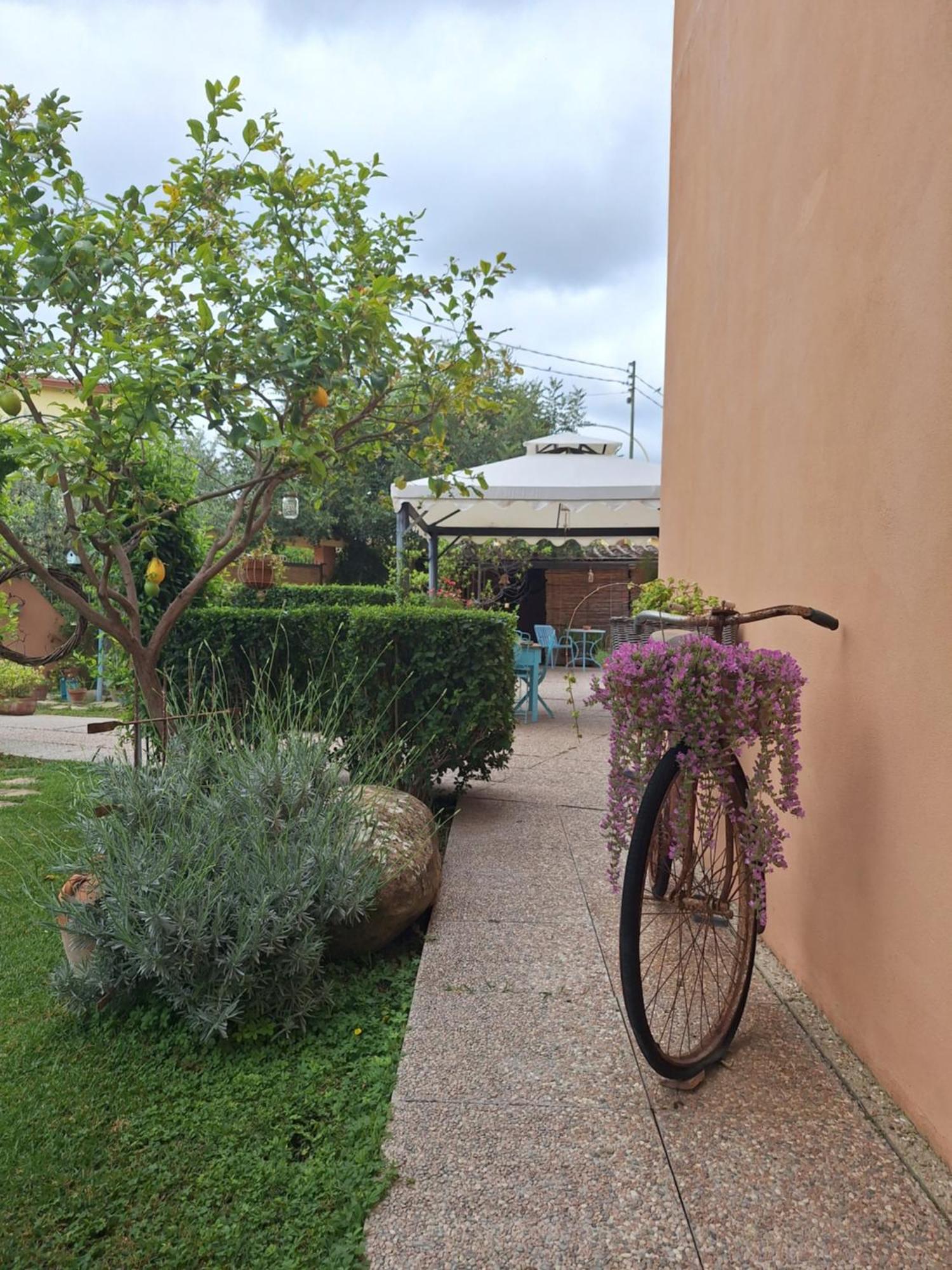 B&B Casa Piras Iun3880 巴鲁米尼 外观 照片